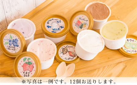 定番ジェラートセット 12個入り【アイス工房Nollegretto】 ／ アイス スイーツ デザート ノレグレット