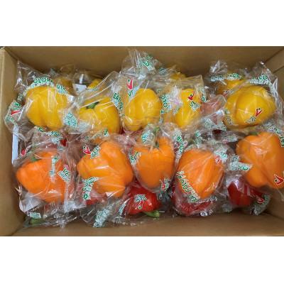 ふるさと納税 栗原市 【新鮮・安全・安心　宮城県産パプリカ】3色MIX(赤黄橙)25玉詰