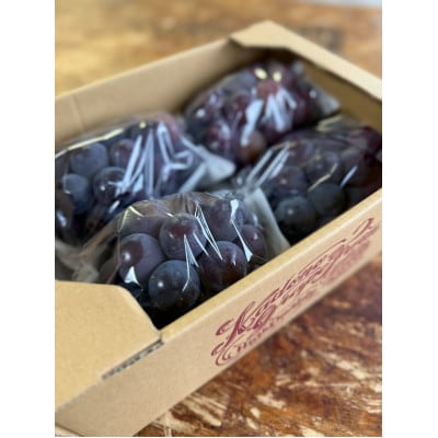 【2026年発送分】岡山県産 訳あり 朝摘みニューピオーネ 2kg(3〜5房)【配送不可地域：離島】【1700083】