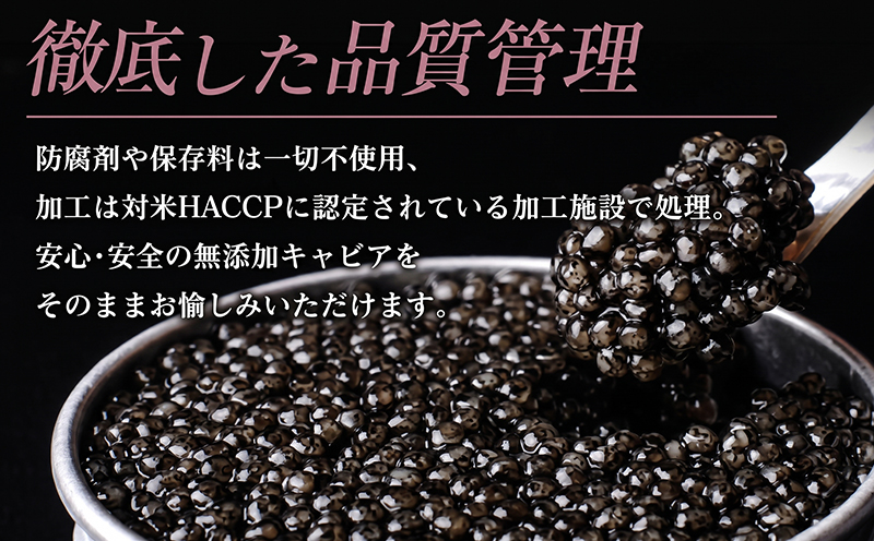 宮崎キャビア1983 20g 魚卵 魚介 魚貝 国産 世界三大珍味 黒いダイヤ 希少 お祝い 記念日 加工品 食品 おすすめ ギフト プレゼント 贈り物 贈答 パーティー おつまみ お取り寄せ 冷蔵 