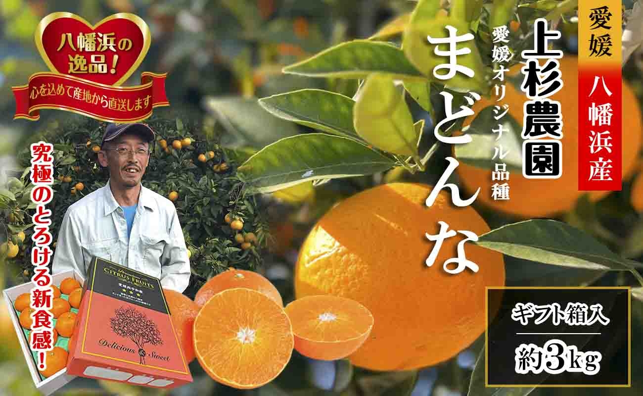 
                  ギフト対応化粧箱入・上杉農園のぷるぷる新食感!「マドンナ」約3kg＜D39-16＞_みかん ミカン マドンナ 紅まどんな同品種 柑橘 柑橘類 フルーツ 果物 くだもの 人気 美味しい 愛媛県 八幡浜 ふるさと【1251804】 YWTF008
                
