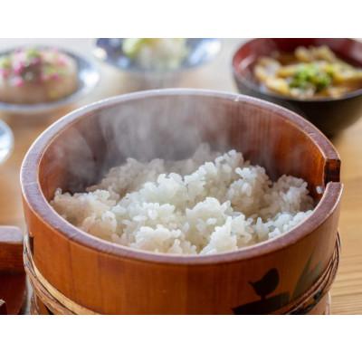 ふるさと納税 十日町市 【令和7年産】　魚沼産コシヒカリ特別栽培米2kg |  | 01