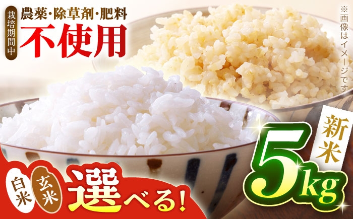 
            米【2025年12月17日までのご入金で、年内発送】新米【選べる白米or玄米】つばくろ米 5kg 米 白米 精米 こめ コメ お米 おこめ ご飯 ごはん 送料無料 R7 年内発送 年内 発送 数量 限定 数量限定 ギフト 白飯 玄米飯 ふるさと納税 玄米 国産 岐阜県産 白川町  / 黒川つばくろ農園 [AWCB001]
          