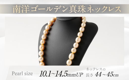 南洋ゴールデン 真珠 ネックレス 10.1mm～14.5mmUP アクセサリー