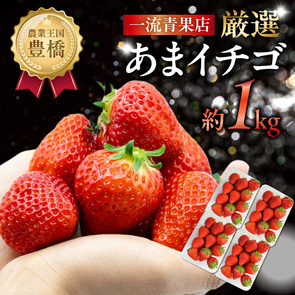【ふるさと納税】≪今が旬≫ 厳選 あまイチゴ 約1kg パックいちご いちご イチゴ 苺 甘い 高糖度 糖度 フルーツ 果物 旬 旬の果物 旬のフルーツ おやつ ビタミン いちご狩り イチゴジャム 紅ほっぺ または あきひめ 愛知県 豊橋市 先行予約 1万円 10000円