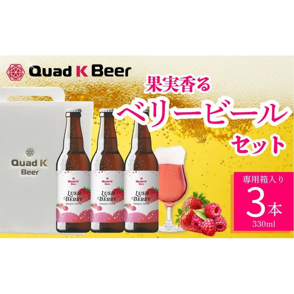 クラフトビール　LUSH BERRY３本セット