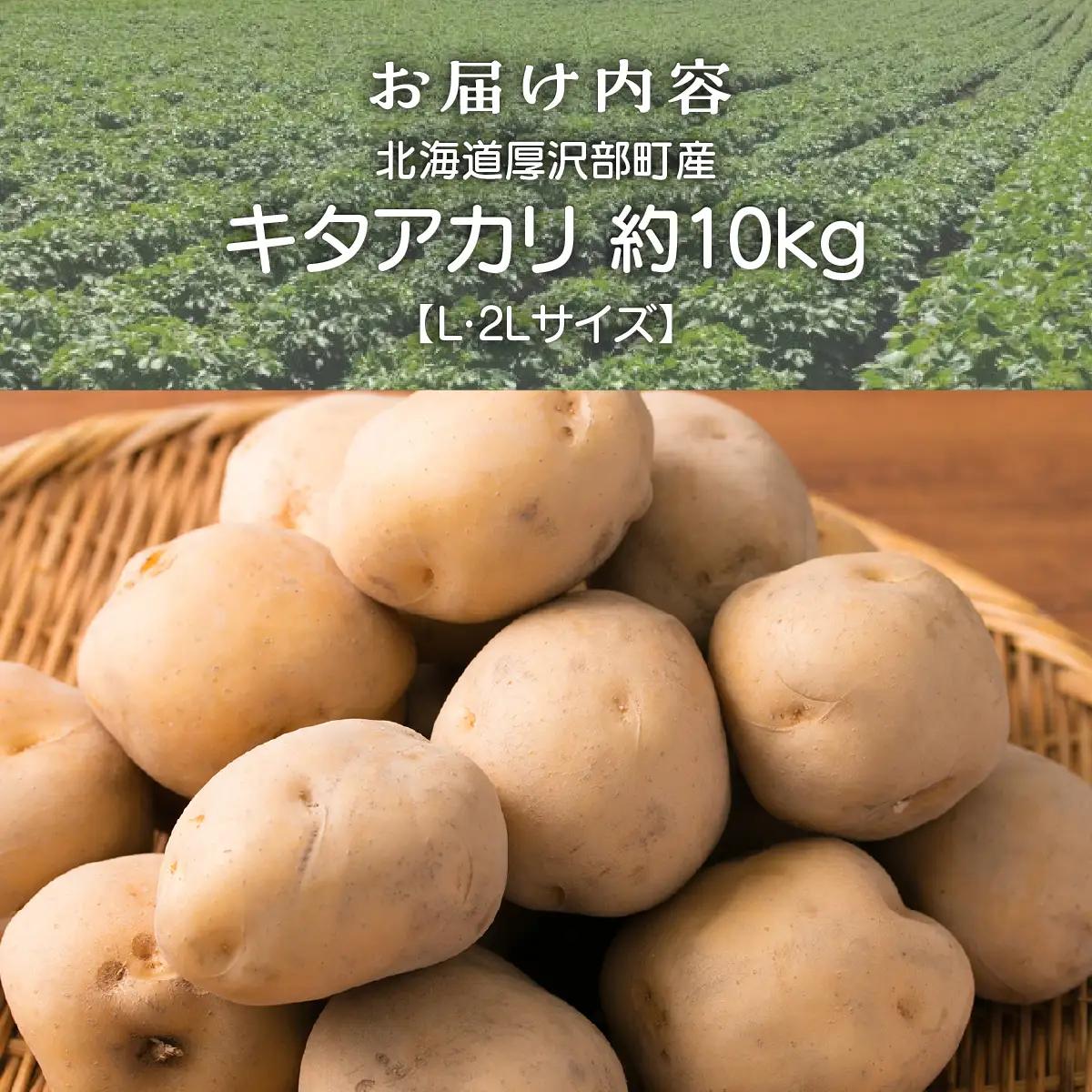 【2026年9月下旬より発送】北海道厚沢部町産 キタアカリ 約10kg【L・2Lサイズ】 ASO038