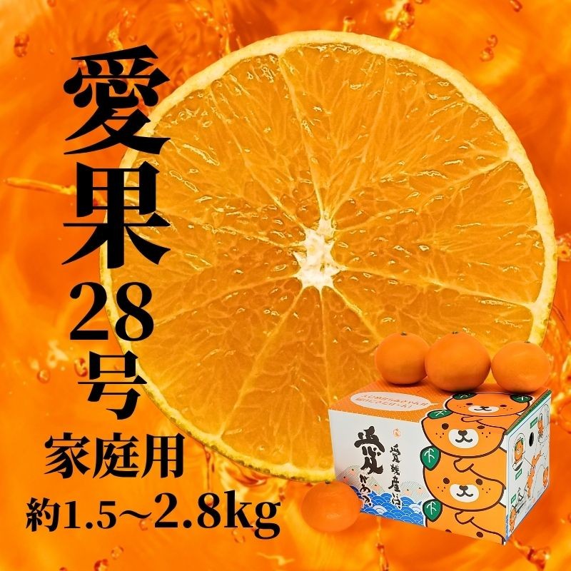 
                  【2026年12月頃から順次発送】愛果28号 (紅まどんな と同品種) 家庭用 約1.5kg / 約2.8kg | 紅まどんな と同一品種 みかん ミカン  蜜柑 果物 くだもの フルーツ 紅マドンナ 高級 贈答 ギフト 贈り物 柑橘 柑橘類 かんきつ 愛媛果試第28号 常温 国産 愛媛 愛媛県 松山市
                