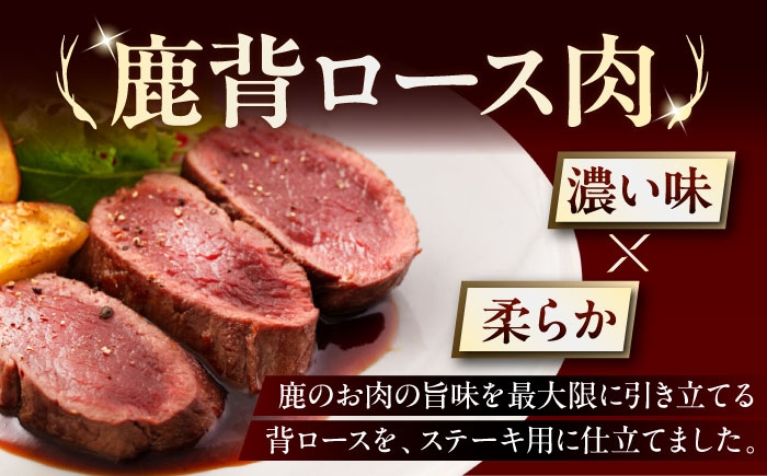 背ロース 120g×2枚 ジビエ 鹿 ロース ステーキ ステーキ用 赤身 冷凍 冷凍配送 定期便  定期便