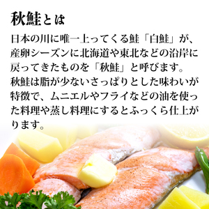三陸産 秋鮭 無塩 10切れ ＆ ホタテ貝柱10粒 セット さけ 鮭 しゃけ 秋 切身 切り身 帆立 ほたて 貝柱 貝 セット 魚 魚介 海産物 三陸 大船渡