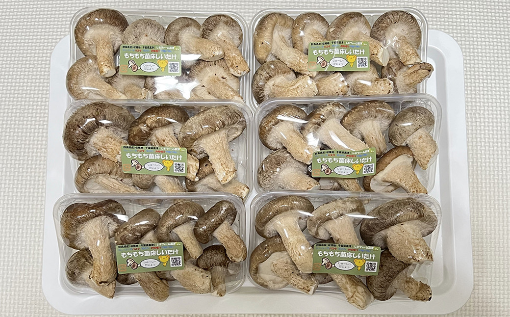 写真は800g