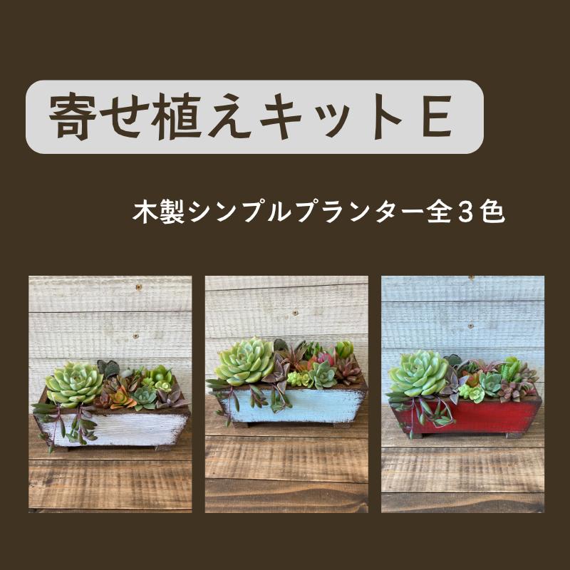 【ふるさと納税】多肉植物 じぶんで植える 多肉 寄せ植えキットE 木製 シンプル プランター 全3色 インテリア 植物 寄せ植え ガーデニング 福岡 小郡市