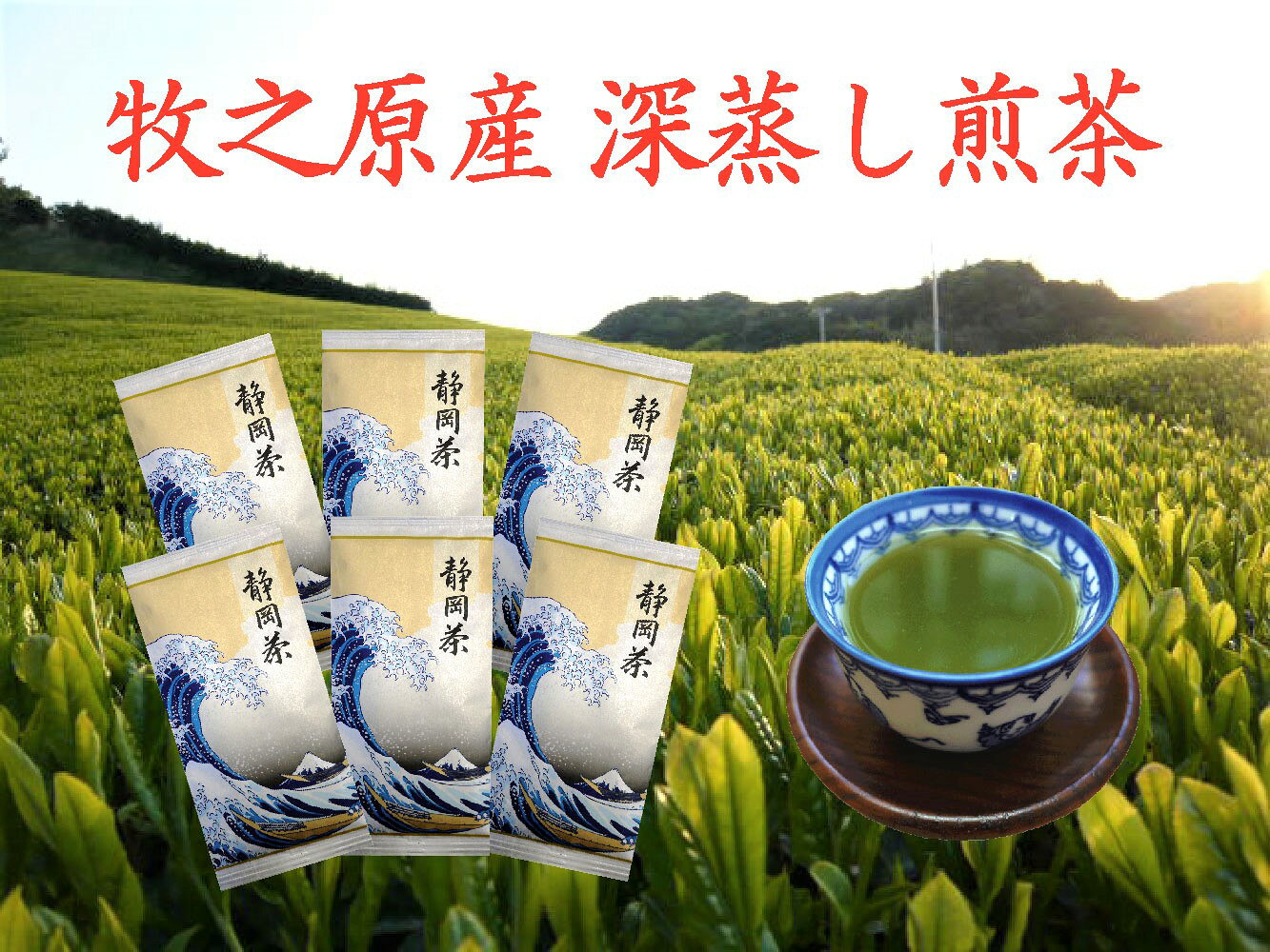 【ふるさと納税】 牧之原産 深蒸し煎茶 白富士 6本 セット お茶 緑茶 茶葉 高級茶 リラックス 健康 深蒸し 深むし 日常 のし 熨斗 贈答 ギフト プレゼント 父の日 母の日 敬老の日 お中元 お歳暮 静岡茶 牧之原市 静岡県