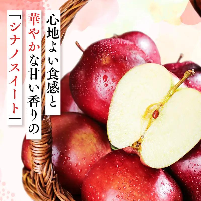 りんご 家庭用 シナノスイート 約5kg【hi-0068-007】