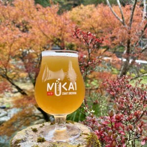 0123101 奇跡の清流 仁淀川 天然水仕込みのクラフトビール （３種各１本セット）