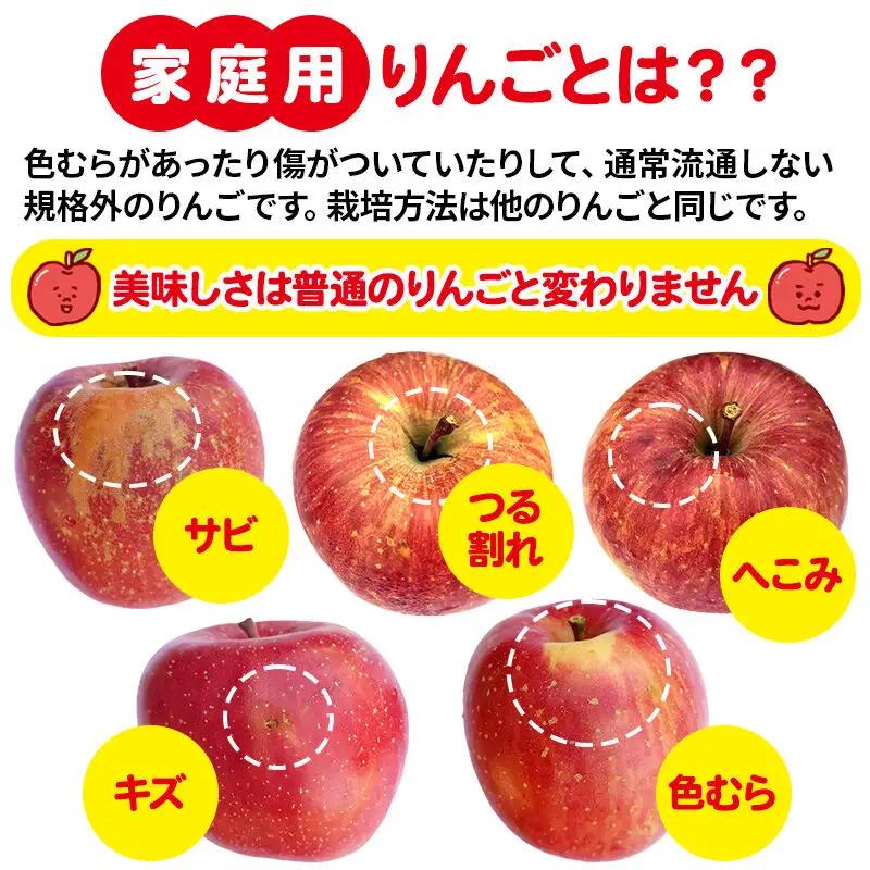 【先行受付】12月中旬より発送 【ご家庭向け】サンふじ 約10kg (28～46玉) りんご 林檎
