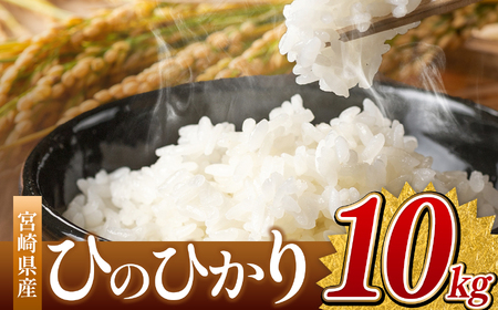令和7年産 ひのひかり 10kg ( 5kg × 2袋 ) ( 白米 ) 宮崎県産