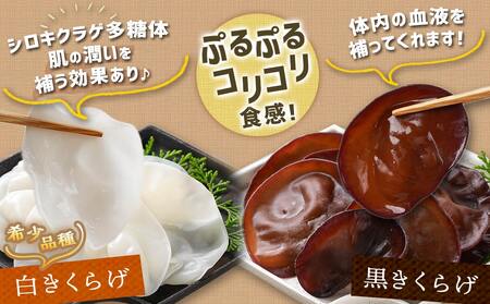 ≪季節限定!≫ぷりぷり食感の生きくらげ(白&黒Mix)+つまみにんにくセット_11-C902_(都城市)生きくらげ 黒きくらげ 白きくらげ 130g×3パック つまみにんにく スーパーフード