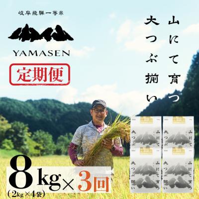 ふるさと納税 下呂市  (2026年10月から毎月発送)【2026年産】【定期便】山仙2kg×4袋×3回【51-H】