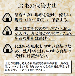 【3カ月定期】ゆきむつみ10kg（5㎏×2個）計30㎏ (TT16)