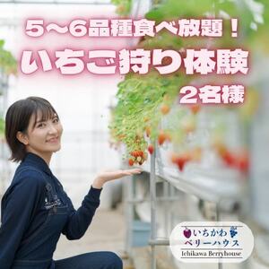 【2025年先行受付】5～6品種食べ放題!いちご狩り体験2名様ご招待!【1542971】