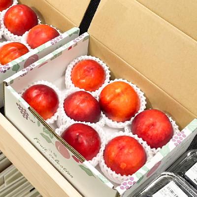 ふるさと納税 甲州市 【桃でもすももでもない!】スイートネクタリン2kg程度 |  | 03