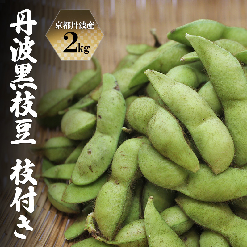 枝豆 令和8年10月発送分 先行予約 京都丹波産 丹波黒枝豆 枝付き 2kg 黒枝豆