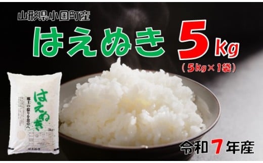 【令和7年度産】山形県小国町産 はえぬき5kg