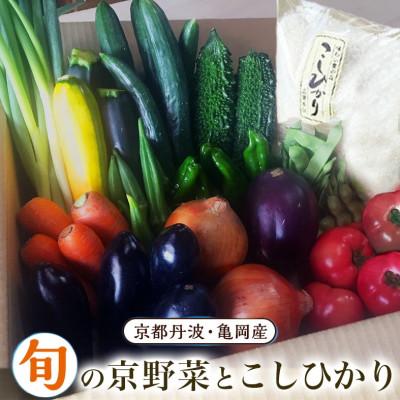 ふるさと納税 亀岡市 季節の旬の京野菜・こしひかり 詰め合わせセット