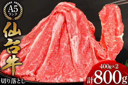 【ふるなび限定】【仙台牛 A-5ランク】切り落とし 400g 2p 計800g [気仙沼市物産振興協会 宮城県 気仙沼市 20565363]