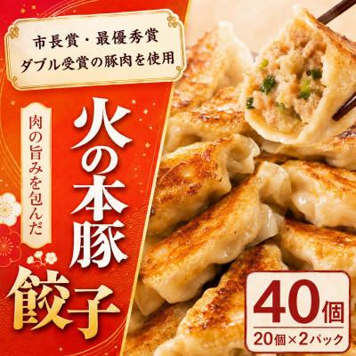 ふるさと納税 和水町 「火の本豚」餃子　20個入り×2パック(和水町)