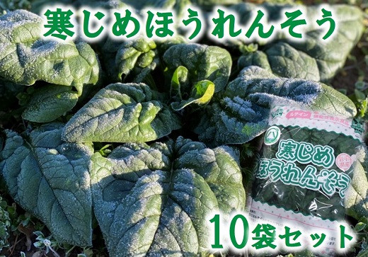 
            【11月下旬～２月下旬 期間限定】 寒じめほうれんそう 210g×10袋 野菜 ほうれん草 ホウレンソウ
          
