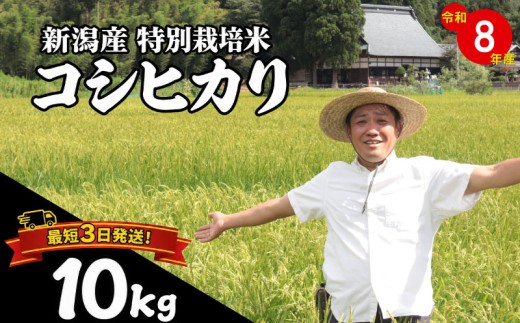 【最短1週間発送!!】 新潟県産 特別栽培米 コシヒカリ 10kg （5kg×2袋） 令和8年産 こしひかり 特栽米 米 月岡 温泉 お米 こめ ご飯 ごはん おいしい 新潟米 新潟 新潟県 米 新発田産 新潟産 朝食 昼食 夕飯 炊きたて 精米 watasho005_2026