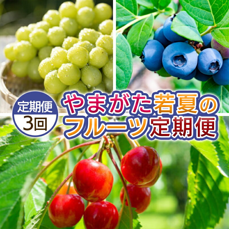 【ふるさと納税】【定期便3回】やまがた 若夏のフルーツ定期便 【令和8年産先行予約】FS25-700くだもの 果物 フルーツ 山形 山形県 山形市 お取り寄せ 先行予約 2026年産