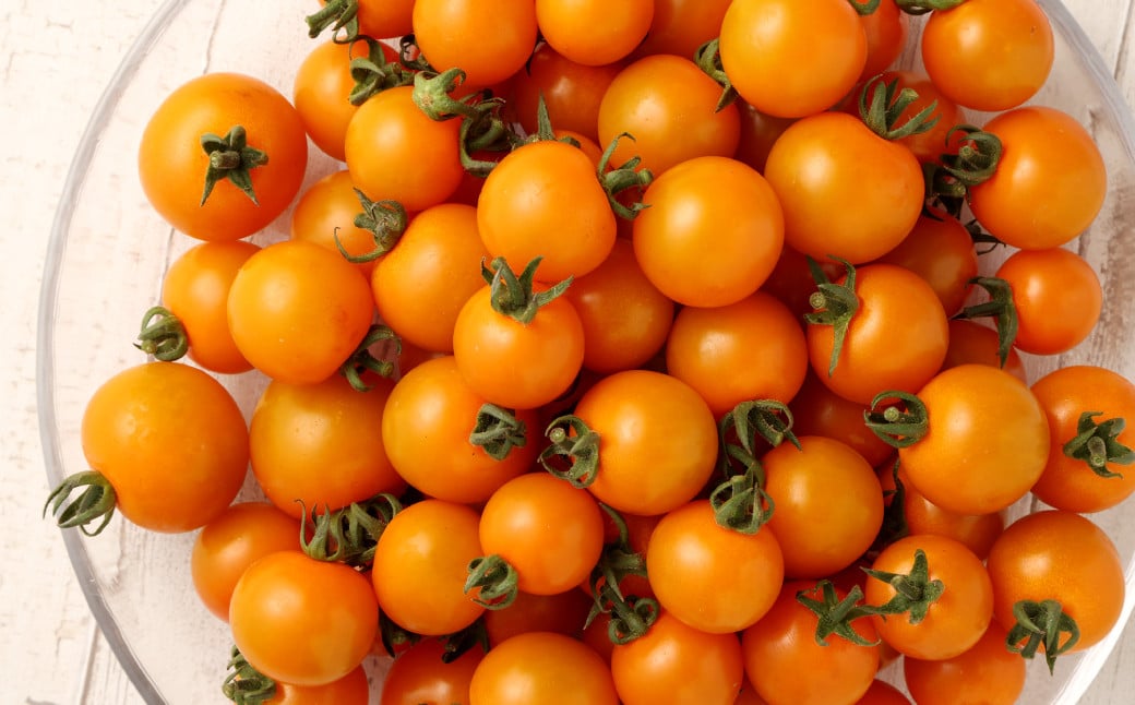 徳之島 天城町産 ミニトマト 1.6kg(200g×8パック) オレンジ千果