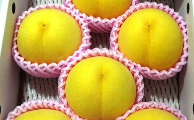08-07-009　もも(金桃・きららのきわみ)2.5kg