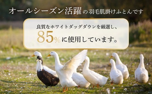ご家庭で手洗いできる 羽毛肌掛けふとん セミダブル（約170×210?） | 手洗い可 国産 寝具 布団 ホワイトダックダウン85％ 泉大津市