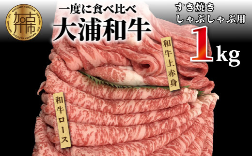 ★選べる配送月★【9月発送】大浦和牛すきやき・しゃぶセット(1kg)《 牛肉 牛 国産 すき焼き しゃぶしゃぶ セット おすすめ ロース 赤身 美味しい 食べ比べ 》【2405A00207-09】