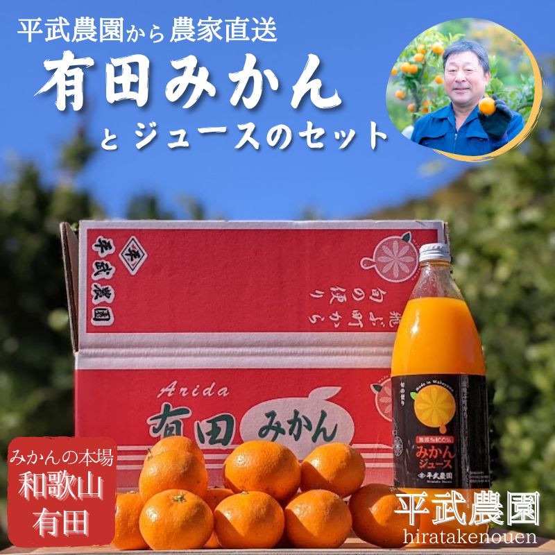 農家直送！有田みかん（約3kg Lサイズ 秀品）とジュースのセット 平武農園 ～蛍飛ぶ町から旬の便り～  	BX93