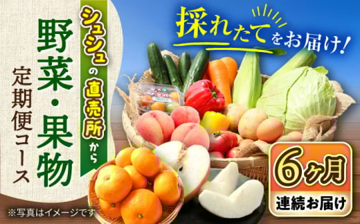 【6回定期便】シュシュの直売所から野菜・果物定期便コース 大村市 おおむら夢ファームシュシュ [ACAA165]