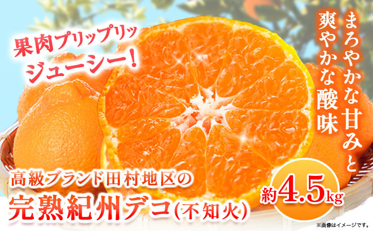 
                  【先行予約】高級ブランド田村の完熟紀州デコ(不知火) 約4.5kg 株式会社 魚鶴商店《2027年2月下旬-3月中頃出荷》和歌山県 日高町 田村地区 不知火 柑橘 果物 フルーツ ブランド果実
                