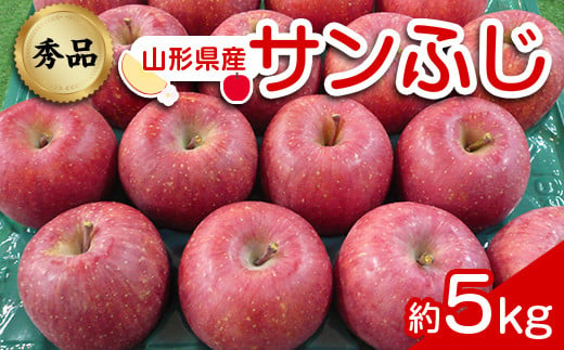 【令和6年産先行予約】 りんご 「サンふじ」 約5kg (12～23玉 秀品) 《令和6年12月上旬～令和7年2月下旬発送》 『カネタ髙橋青果』 リンゴ 山形県 南陽市 [1960]