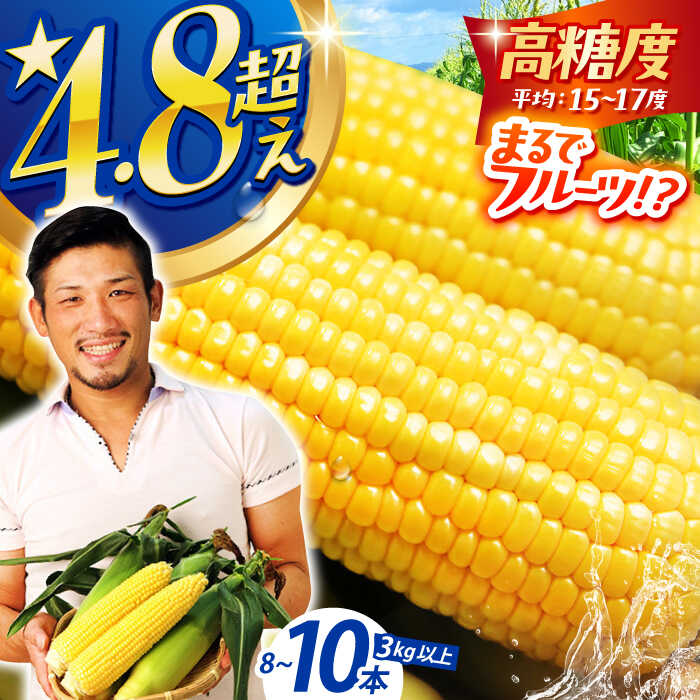 【ふるさと納税】【先行予約】＜2026年6月中旬以降発送】スイートコーン ゴールドラッシュ 8本〜10本 【高評価★4.8獲得】【八丁屋】 [HAO001] / スイートコーン 食品 野菜 とうもろこし トウモロコシ 甘い