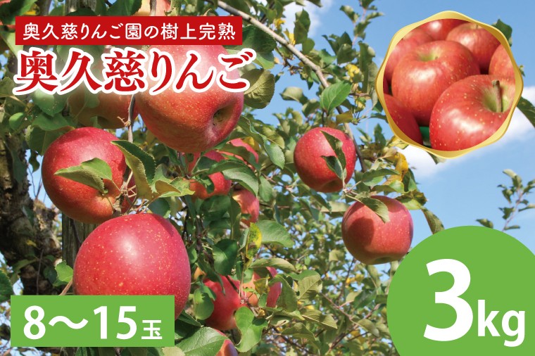 
                  先行予約 奥久慈 りんご 3kg 8～15玉 樹上完熟 茨城県 大子町 フルーツ 果物 国産 詰め合わせ ふじ 秋映 陽光 シナノゴールド シナノスイート 秋 旬 お取り寄せ 数量限定 【2026年9月中旬頃順次発送開始予定】(AI003-1)
                