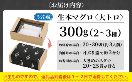 まぐろの王様！生本マグロ大トロ300g [e04-b029] 本まぐろ　本マグロ　まぐろ　マグロ　鮪