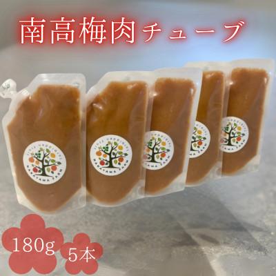 ふるさと納税 田辺市 南高梅肉チューブ 180g×5【nak047】