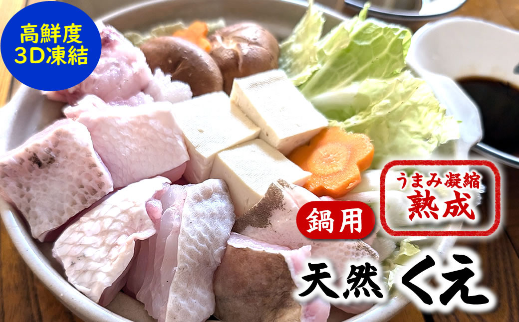 
                  幻の高級魚 天然本クエ鍋用 800g(4人前)熟成 旨味凝縮 高鮮度3D凍結 大型使用
                
