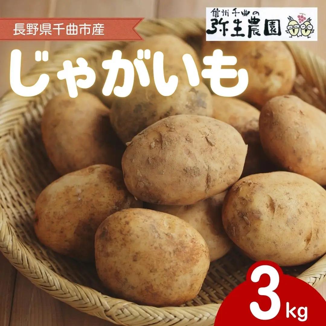 千曲市産 じゃがいも 3kg | じゃがいも