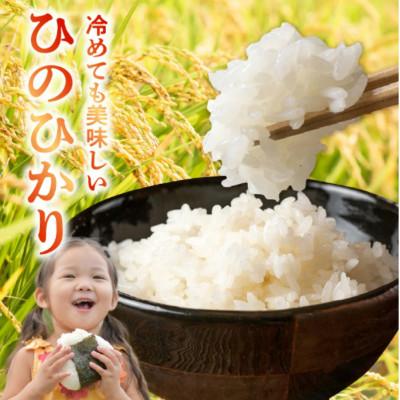 ふるさと納税 宇土市 【先行予約】令和8年産米 那須自然農園「ひのひかり」玄米5kg |  | 01
