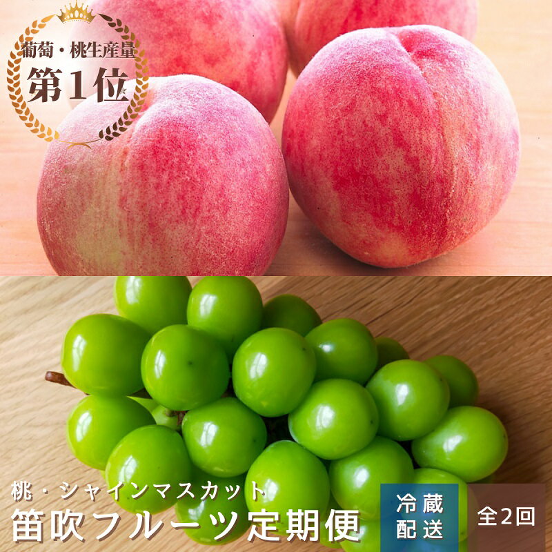 【ふるさと納税】【2026年発送★先行予約】オギノフルーツ定期便（桃 約2kg・シャイン 1.2kg以上） ふるさと納税 おすすめ ランキング シャインマスカット もも 桃 笛吹市 国産 人気 期間限定 果物 フルーツ 葡萄 旬 山梨県 送料無料 定期便 136-013